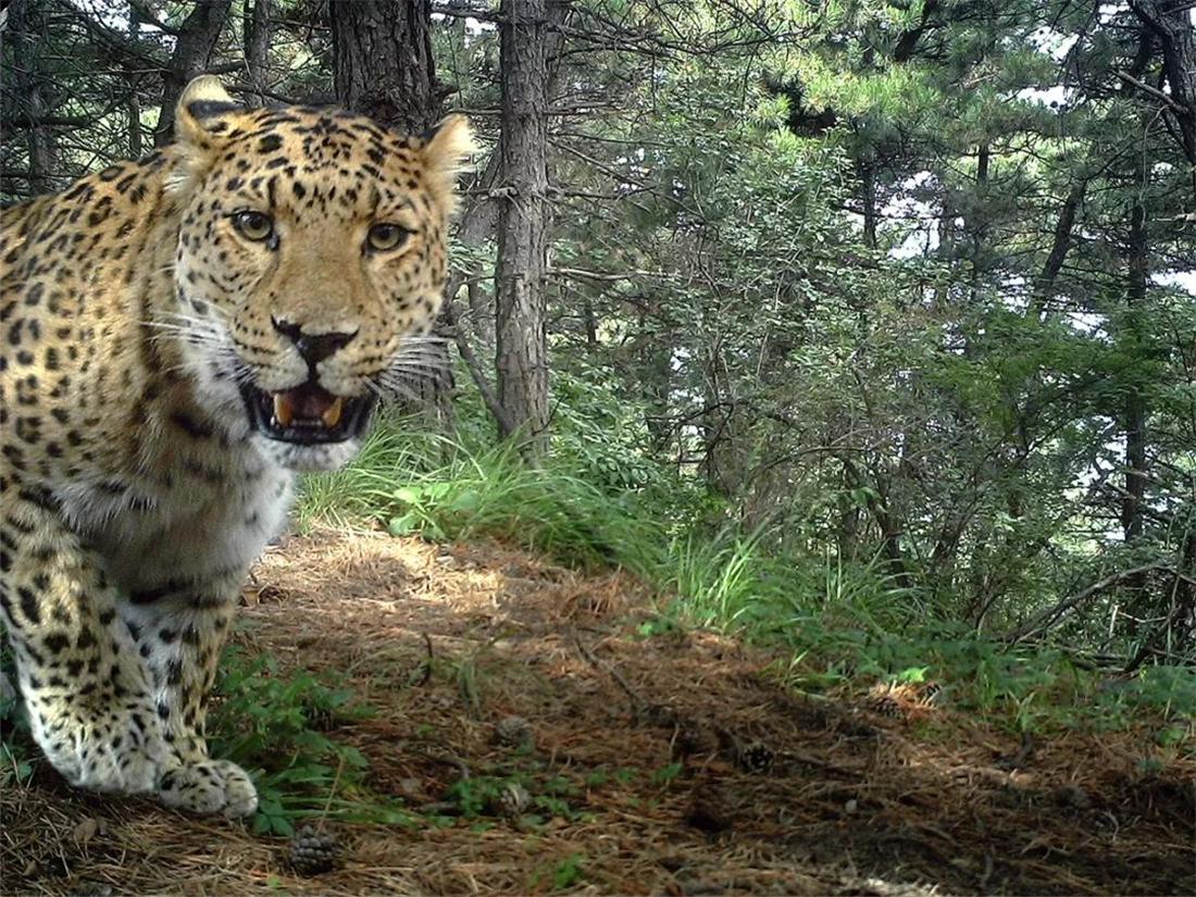 承德,皇家避暑胜地与多元文化交融的独特魅力